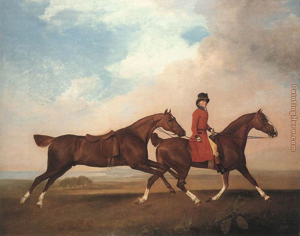 Stubbs William Anderson with Two Saddlehorses painting anysize